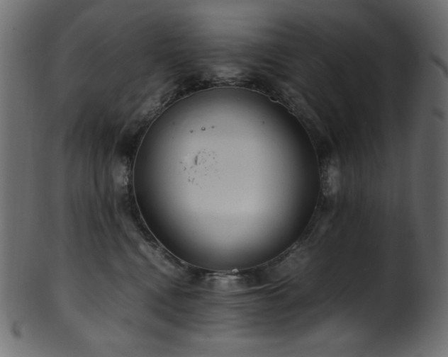 X0000101990472200807181152