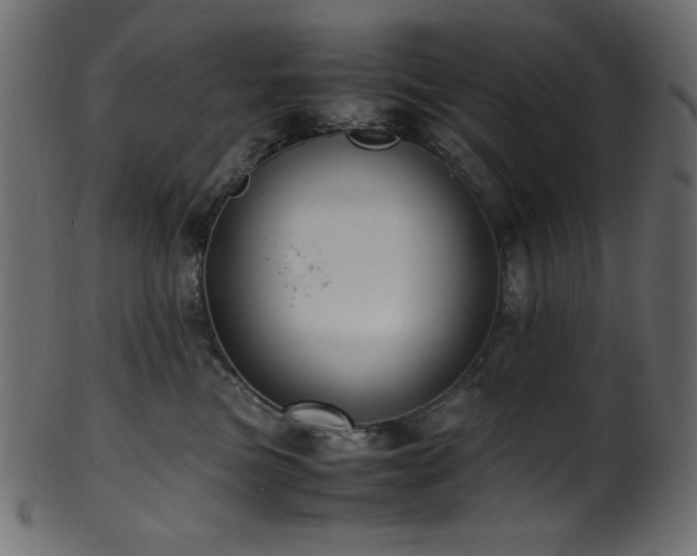 X0000101990473200807181152