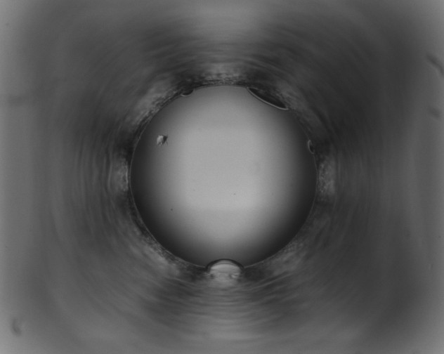 X0000101990474200807181152