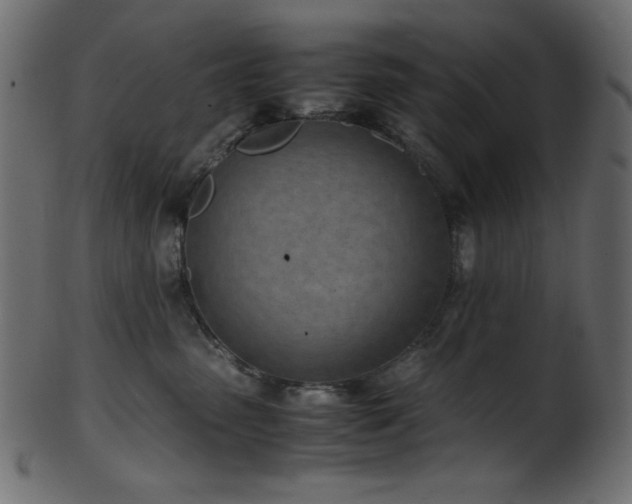 X0000101990475200807181152
