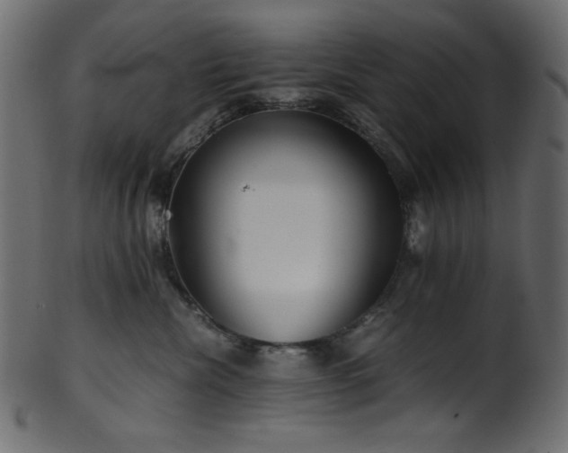 X0000101990476200807181152