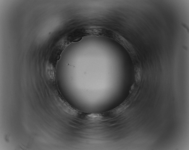 X0000101990477200807181152