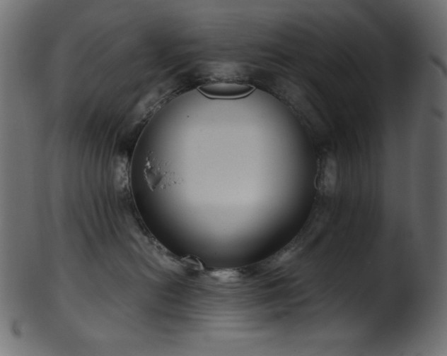 X0000101990478200807181152