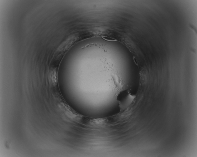 X0000101990479200807181152