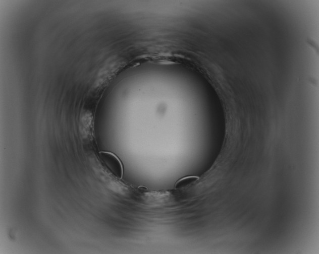 X0000101990480200807181152