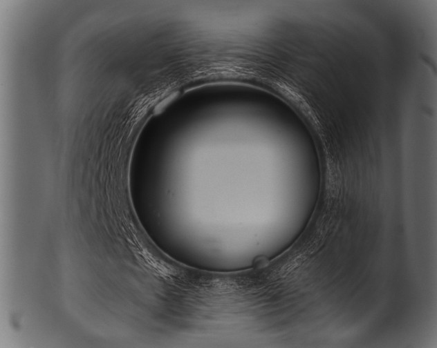 X0000101990481200807181151