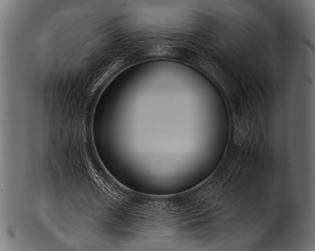 X0000101990482200807181151