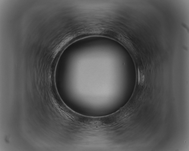 X0000101990483200807181151