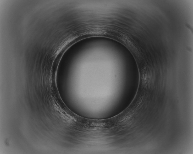 X0000101990484200807181151