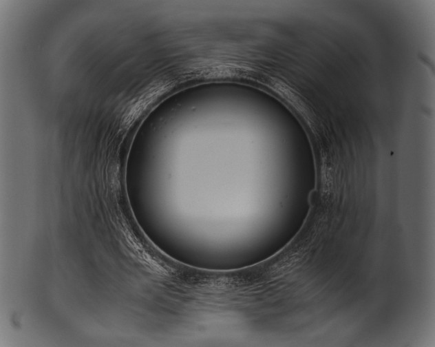 X0000101990485200807181151