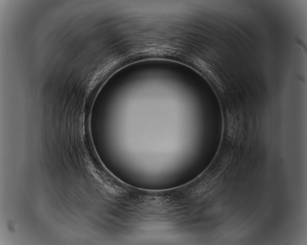 X0000101990486200807181151