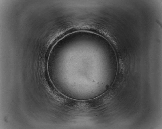 X0000101990487200807181151