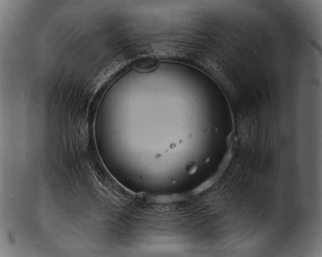 X0000101990488200807181151