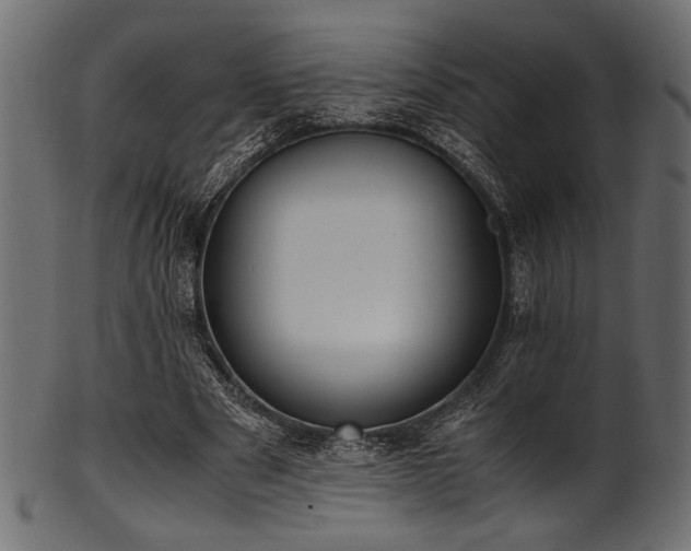 X0000101990489200807181151