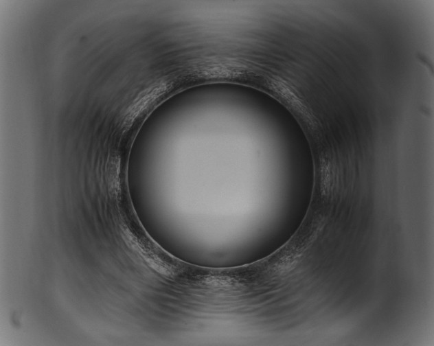 X0000101990490200807181151