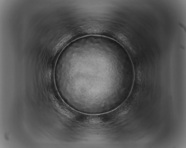 X0000101990491200807181151