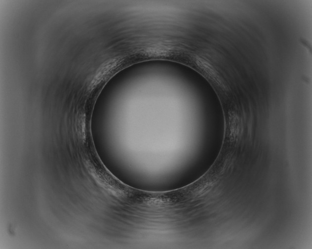 X0000101990494200807181151