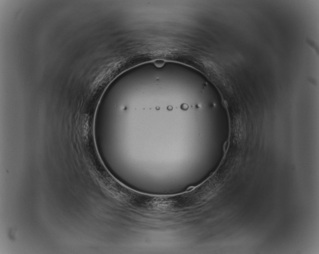 X0000101990495200807181151