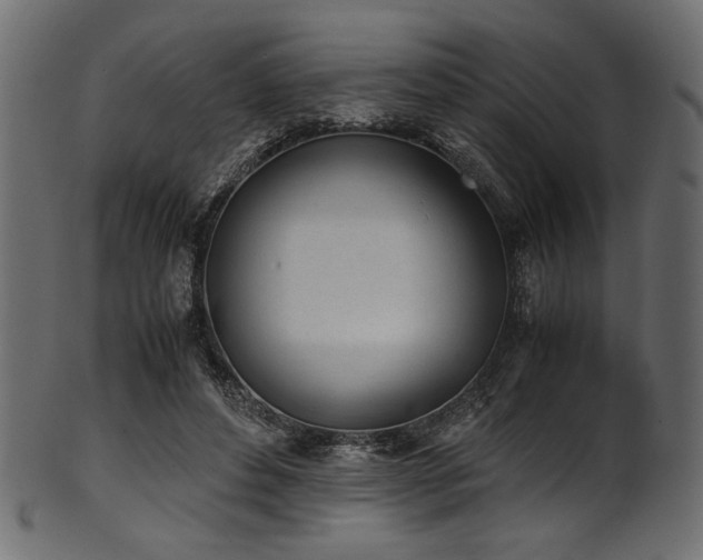 X0000101990496200807181151