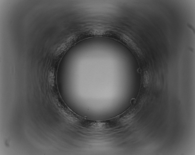 X0000101990497200807181151
