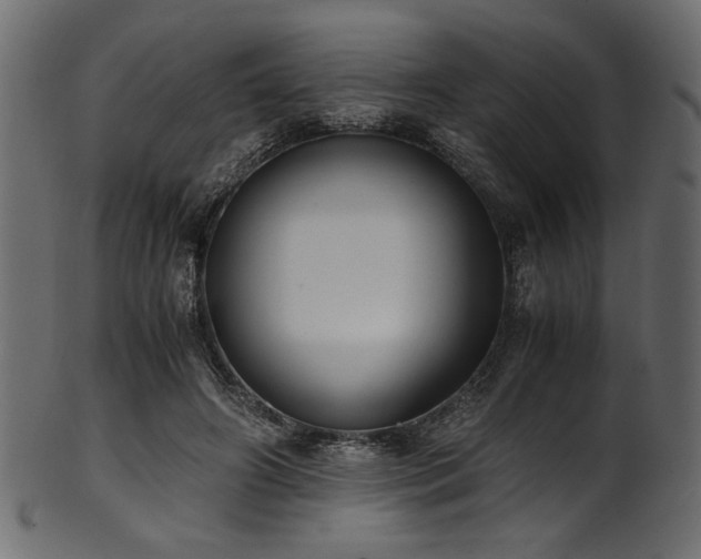 X0000101990498200807181151