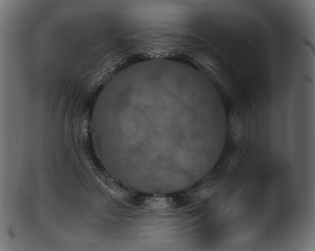 X0000101990499200807181151