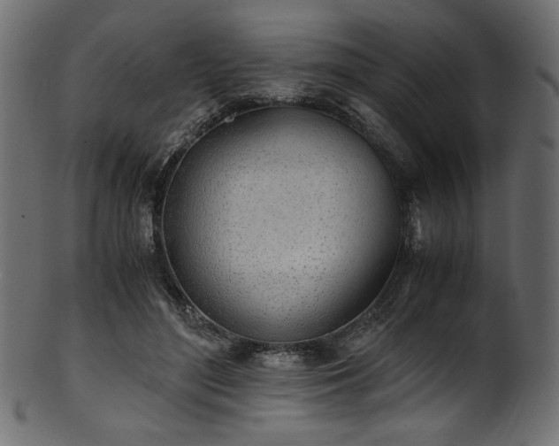 X0000101990500200807181151