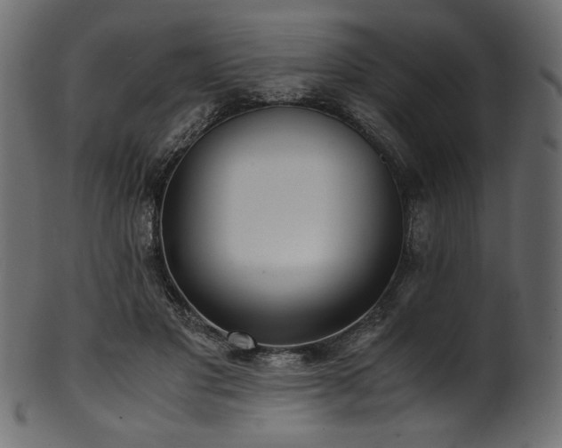 X0000101990501200807181151