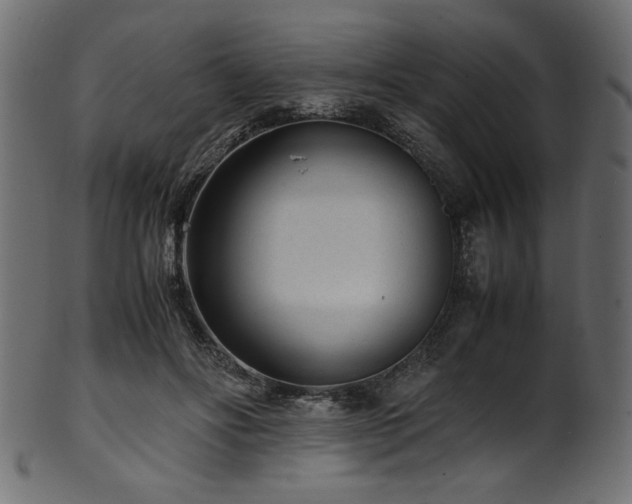 X0000101990502200807181151