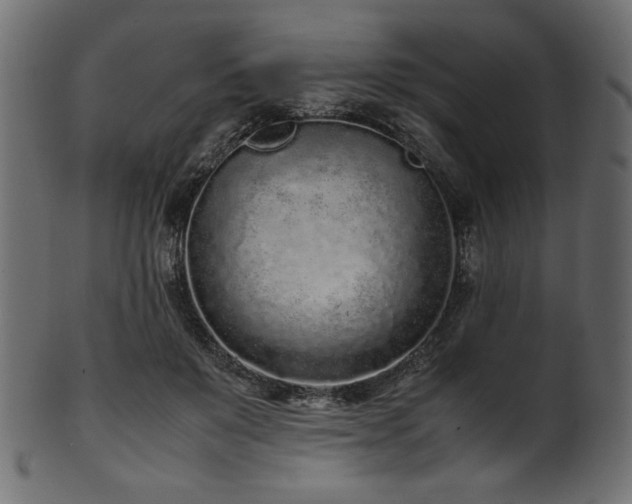 X0000101990503200807181151