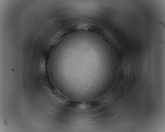 X0000101990504200807181151