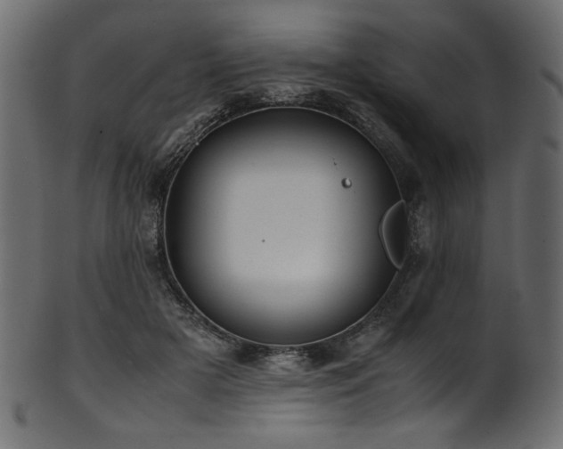 X0000101990505200807181151