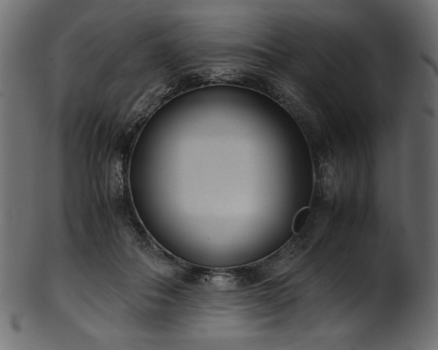 X0000101990506200807181151