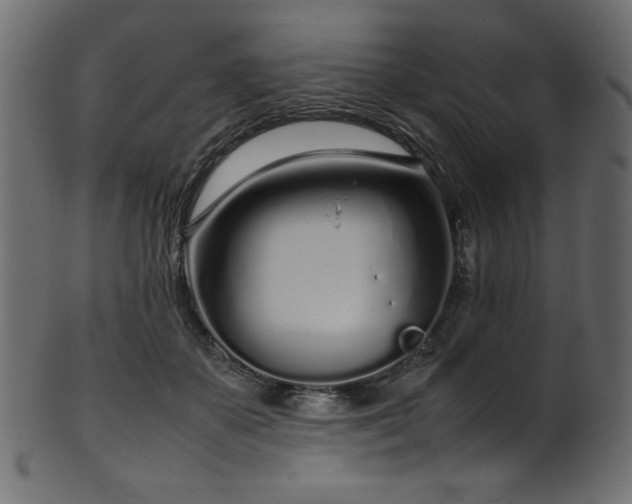 X0000101990507200807181151