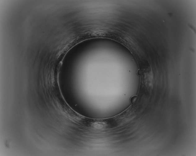 X0000101990508200807181151
