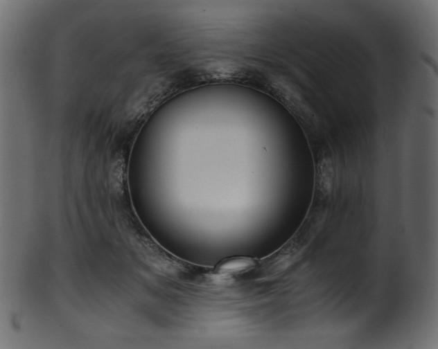 X0000101990509200807181151