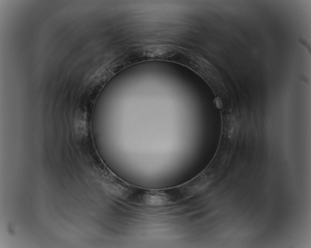 X0000101990510200807181151