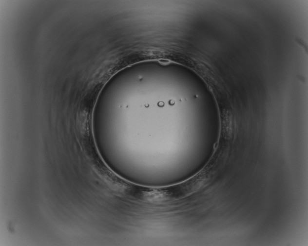 X0000101990511200807181151
