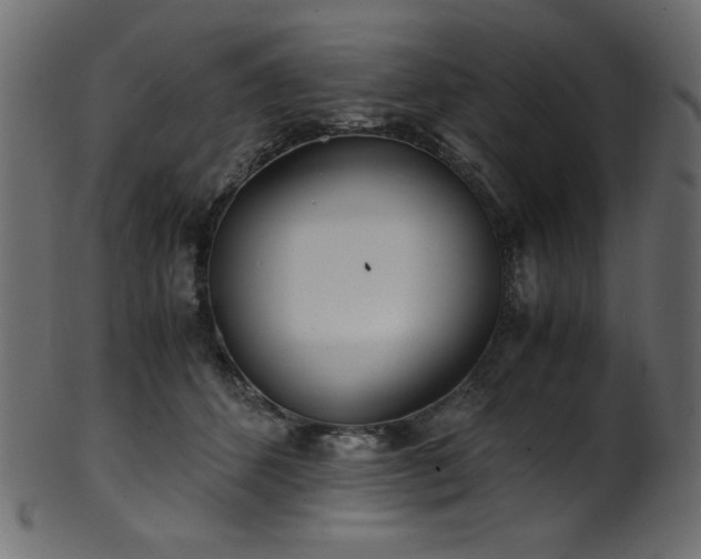 X0000101990512200807181151