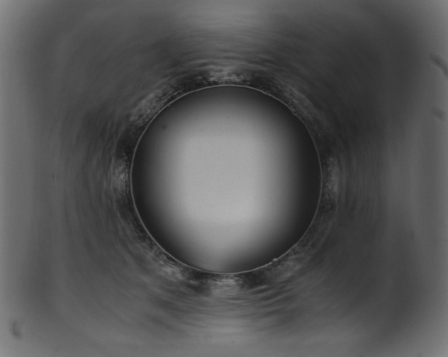 X0000101990513200807181151