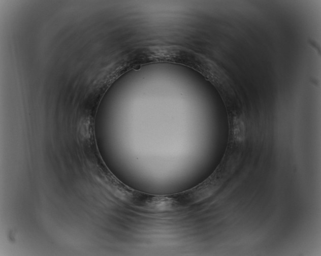 X0000101990514200807181151