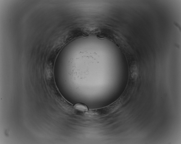 X0000101990515200807181151