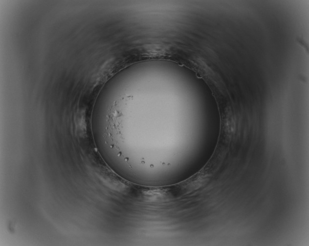 X0000101990516200807181151