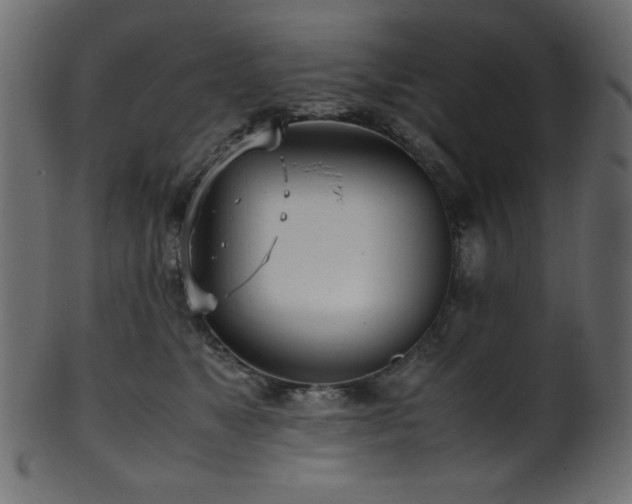 X0000101990517200807181151