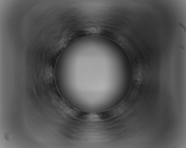 X0000101990518200807181151