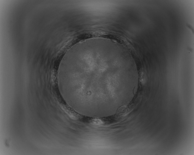 X0000101990519200807181151