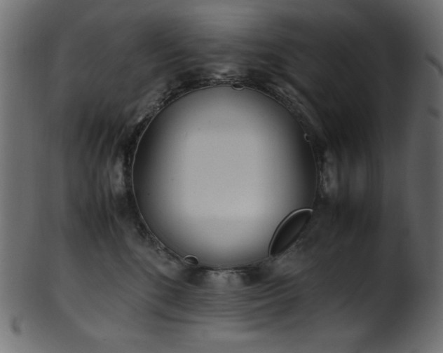 X0000101990520200807181151