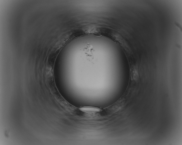 X0000101990521200807181151