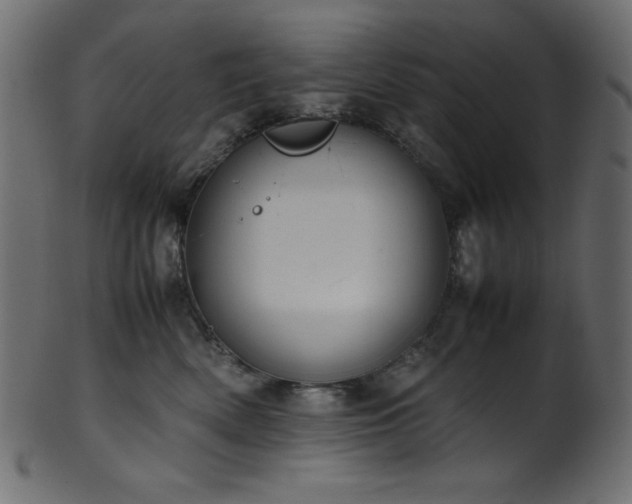 X0000101990522200807181151