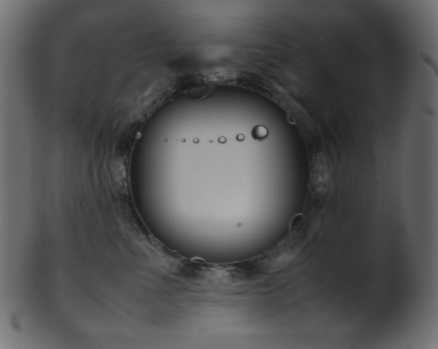 X0000101990523200807181151